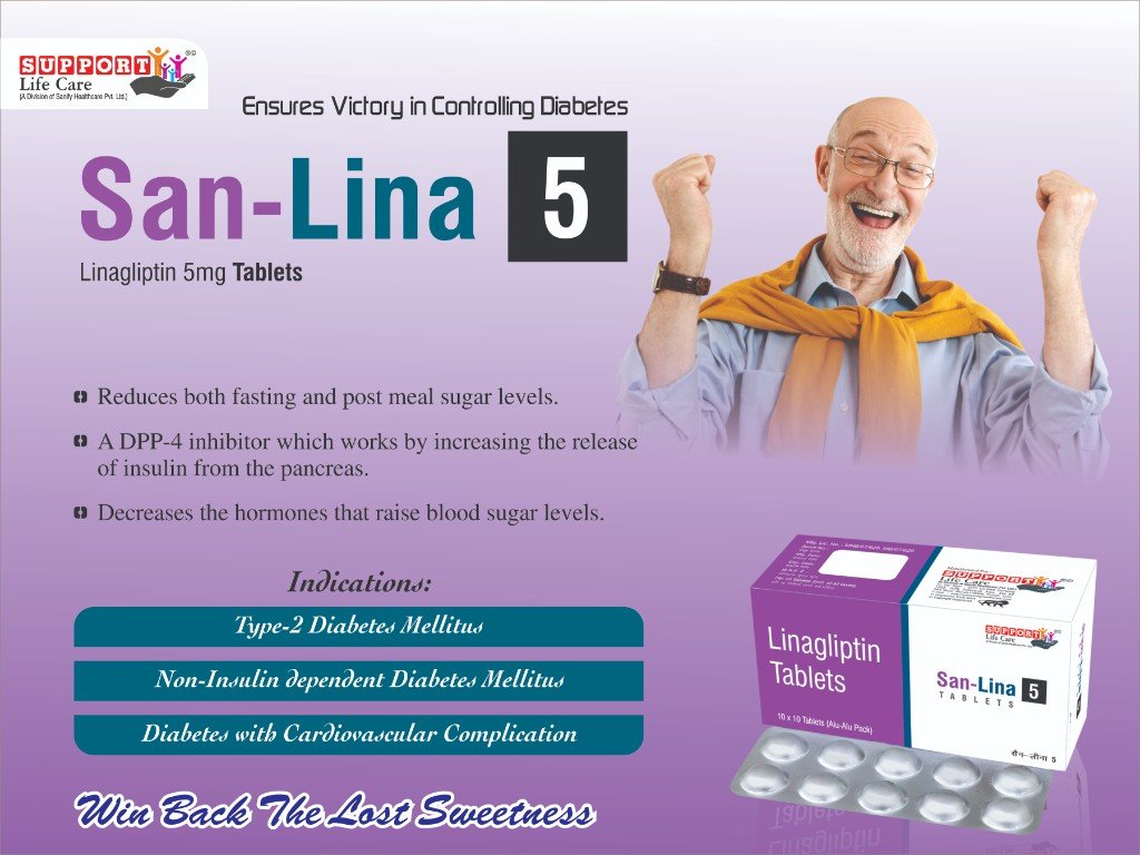 San-Lina-5 Visual